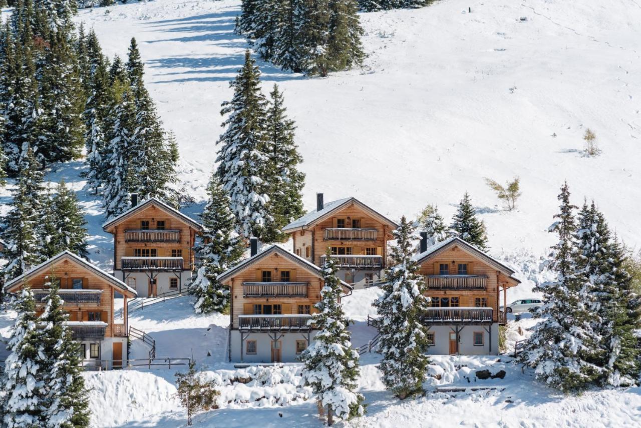 Feriendorf Koralpe Alpenrose Frantschach Εξωτερικό φωτογραφία