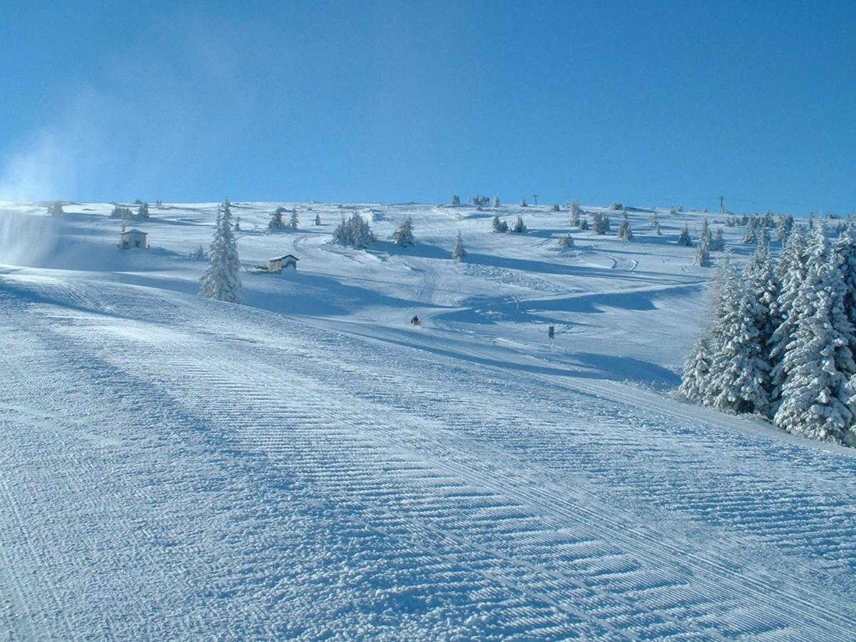 Feriendorf Koralpe Alpenrose Frantschach Εξωτερικό φωτογραφία