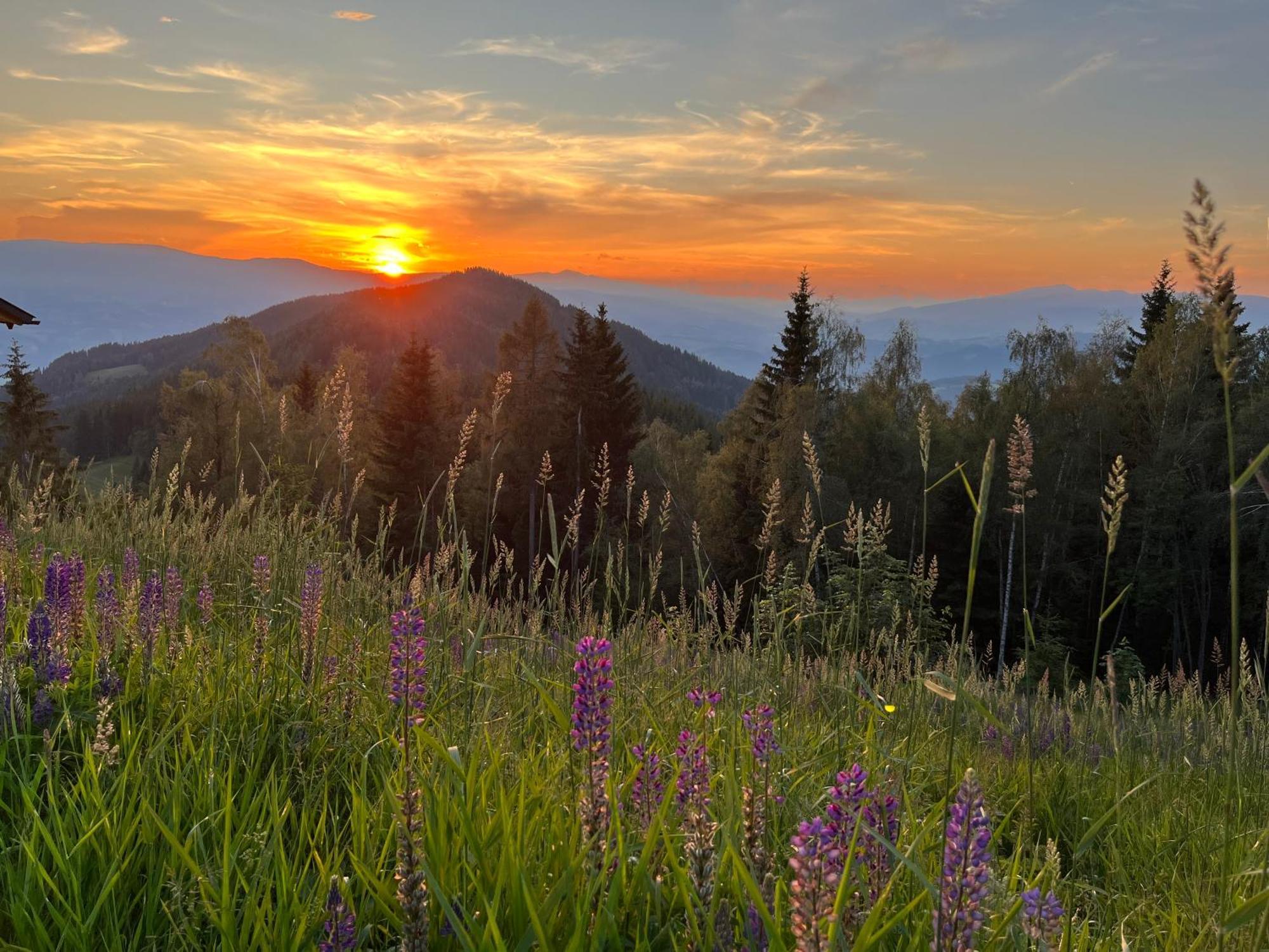 Feriendorf Koralpe Alpenrose Frantschach Εξωτερικό φωτογραφία
